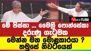 මේ පිස්සා ... මෛත්‍රී ෆොන්සේකා දරුණු ගැටුමක | මෙන්න මහ මොළකාරයා ? | තමුසේ නිවටයෙක්