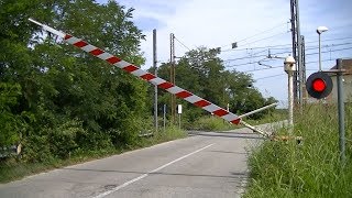 Spoorwegovergang Albonese (I) // Railroad crossing // Passaggio a livello