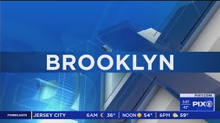 Man shoved into side of moving train in BK: NYPD