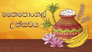 තෛපොංගල් උත්සවය | தைபோங்கல் திருவிழா | Thaipongal festival | Art Class