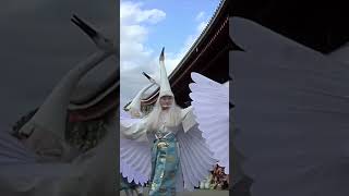 White Heron Dance - Shirasagi no Mai in Asakusa 白鷺の舞 #shorts