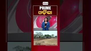 Prime Odisha || ପ୍ରାଇମ ଓଡ଼ିଶା