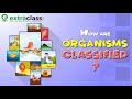 Classification of Organisms | Biology | Extraclass