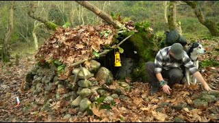 带着狗子森林用石头搭建庇护所露营篝火过夜钓了一条小鱼分着吃