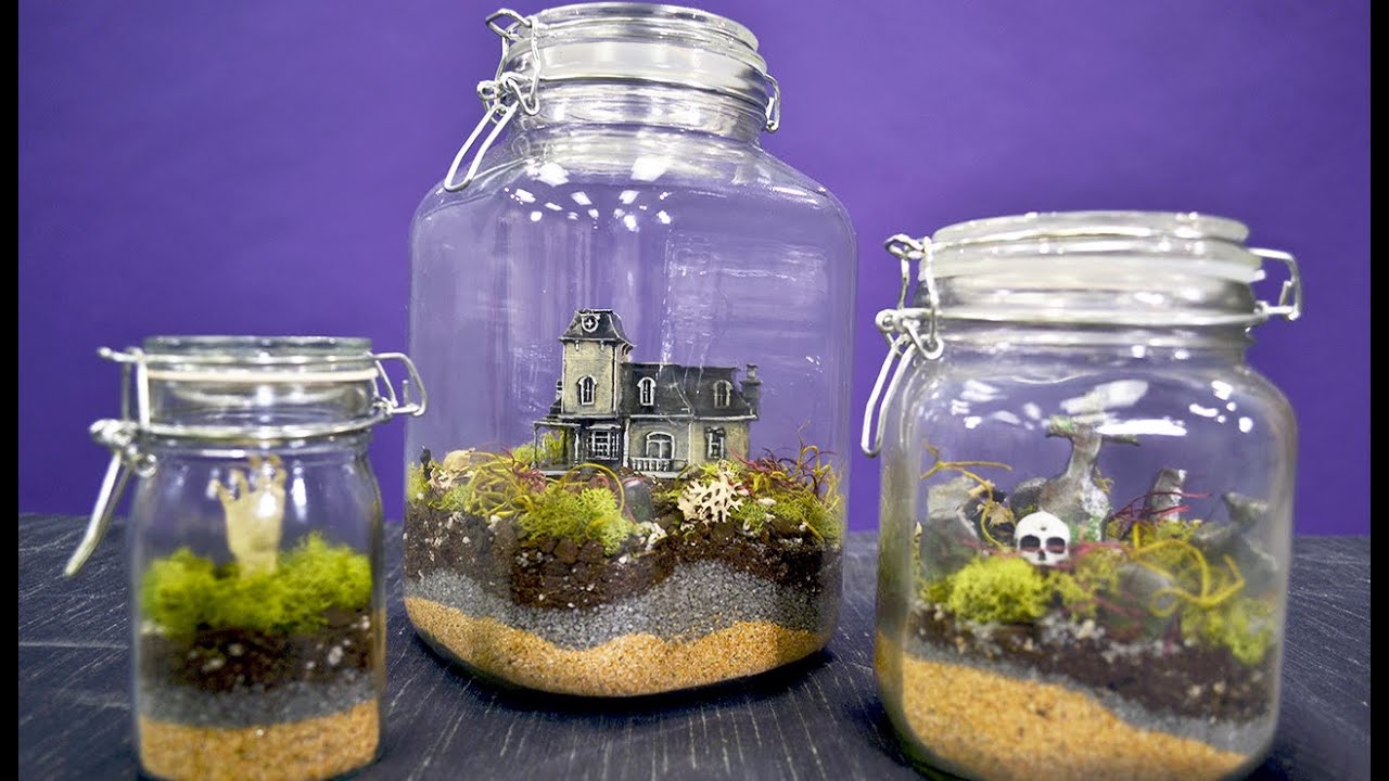 Cemeterrarium Diy Youtube