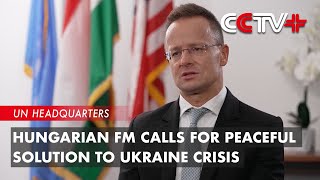 Hungarian FM Calls for Peaceful Solution to Ukraine Crisis