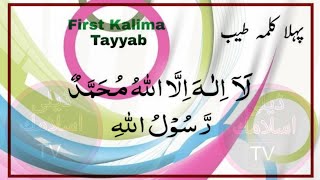 first kalimba tayyab | best zikar kalima | daily islamic tv Episode 8