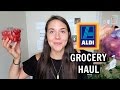 CHEAP $25 VEGAN GROCERY HAUL (ALDI)