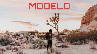 Chicocurlyhead - Modelo (Audio Card)