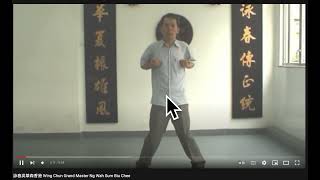 Ng Wah Sum Wing Chun Demonstrating Leung Sheung Wing Chun - Forms Footage Commentary