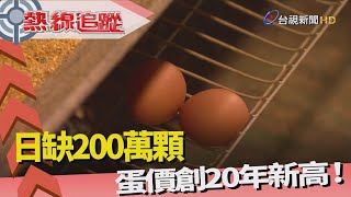 熱線追蹤-全台鬧蛋荒 日缺200萬顆