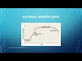 bacterial growth curve