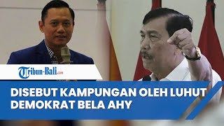 AHY Disebut Kampungan oleh Luhut, Demokrat Kampungan Itu yang Dikritik Marah