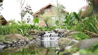 Dusun Bedugul Asri, Kebun Edukasi dan Rekreasi, Nostalgia Indah Suasana Alam Desa Pertanian