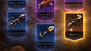 【超神回！】ザ・アンツ（TheAnts）の特級孵化のお得孵化（10連引き）で橙品質特化アリを引き当てる瞬間！！弾丸アリGETでやったぜ！！