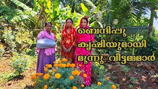 മൂന്ന് വീട്ടമ്മമാരുടെ ബെന്ദി കൃഷി|ഇപ്പോൾ ഇവരുടെ അവസ്ഥ....