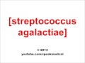 Pronounce Streptococcus Agalactiae | SpeakMedical