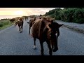 与那国島　dr.コトー　の志木那島診療所を訪ねる　最西端で日本最後の夕日を見た　石垣島からプロペラ機