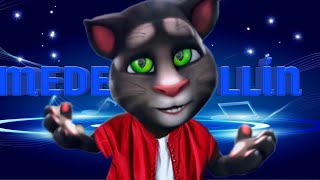 una noche en medellin - Cris MJ /  gato tom (video Music)