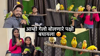 आम्ही गेलो डोंबिवलीमध्ये बर्ड्स बघायला 😍 नंतर गेलो Apmc वाशी मार्केट ड्रायफ्रूटस आणायला | Arsh Birds