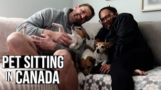 Home Away from Home Pet Sitting in Canada