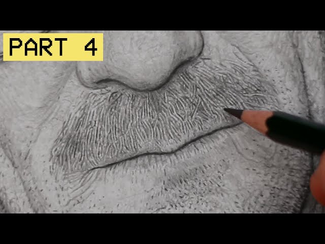 How To Draw Beards Pencil