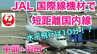 国際線機材を短距離国内線で運用！