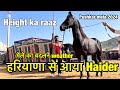 हरियाणा का हैदर | kaise kre horse breeding | Pushkar mela 2024