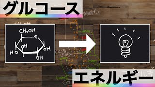 グルコースがエネルギーになるってどういう事？ATPは何分子できる？