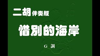 惜別的海岸/二胡G調伴奏