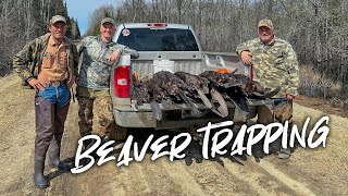 53 Beavers in 5 DAYS!