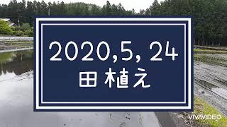 2020年　田植えが始まりました