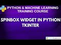 Spinbox Widget in Python | Tkinter Tutorial for Beginners