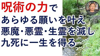 呪術の力であらゆる願いを叶え、悪魔・悪霊・生霊を滅し、九死に一生を得ます【霊能者霊媒師飯島章】