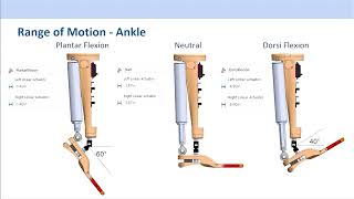 Biomechatronic Foot | Project Showcase 2023