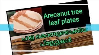 Arecanut tree leaf plates | പാള കൊണ്ടുണ്ടാക്കിയ പാത്രങ്ങൾ