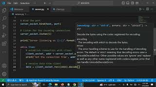 Send data from Python socket client to socket server