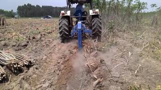 How to harvest cassava, 6610s and Cassava ridge