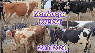 МОЛБОЗОР ХУДЧАНД КУРКАТ 29 НОЯБР 2024Г ОЧА БАЧА ВА БУКАЧАХО ГУНОЧИНХО