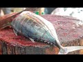 Japanese Food | GIANT BLUEFIN TUNA FISH CUTTING Sashimi Bowl Tokyo Japan | Capture TV