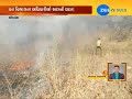 arvalli fire broke down in forest near modasa zee 24 kalak