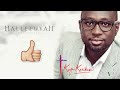 hallelujah lyric video by kofi karikari