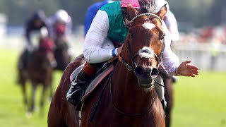 Frankel documentary: The horse of the century