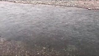 和歌山県上富田町風景