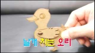 [한진과학] 날개 치는 오리