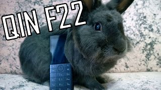 QIN F22| ИЛИ КАК ИЗБАВИТЬСЯ ОТ СОЦ. СЕТЕЙ