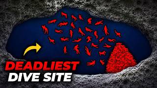 The Deadliest Dive Site Tourists Still Visit | Caving Gone Horribly Wrong