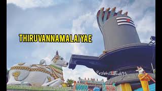Siva Siva |Thiruvannamalai |shankar mahadevan| om |Annamalai