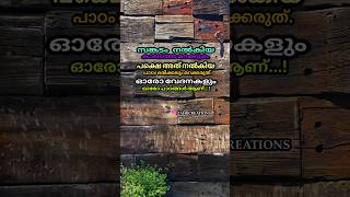 ഓരോ വേദനകളും ഓരോ പാഠങ്ങളാണ്#viral #shortvideo