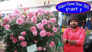 Siliguri flower show 2025 Part 1II Rose plant at Siliguri flower show 2025